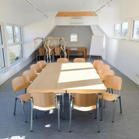 Equiliber Reitkunstzentrum Burgenland Wulkaprodersdorf Exterior foto